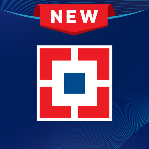 Bank Access Pro app